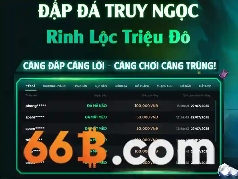 trải nghiệm 66b