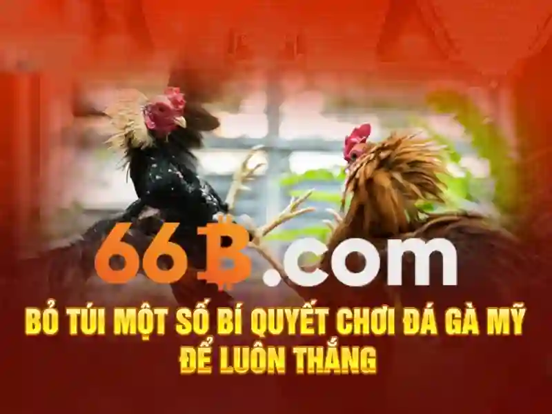 66B Trang Chủ