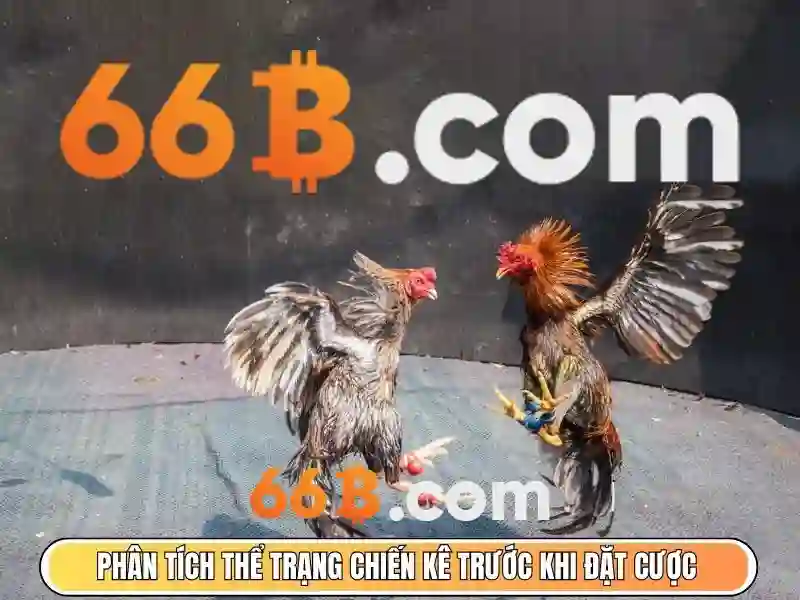 Đa dạng thể loại Slot 66B