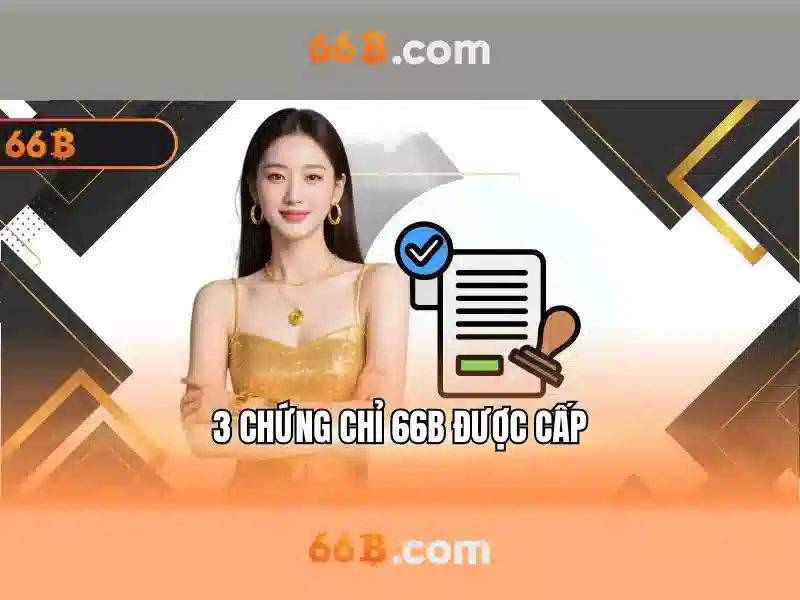 Đánh Giá 66B
