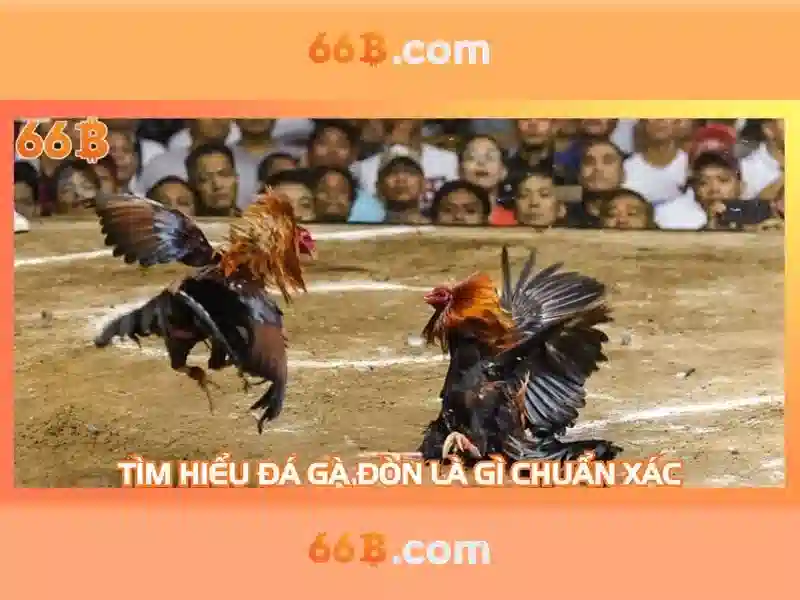 trải nghiệm slot