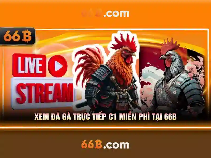 Trải Nghiệm Cá Cược 66B