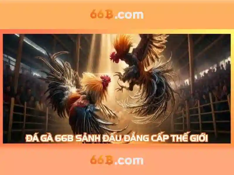 Hướng Dẫn Đăng Ký 66B