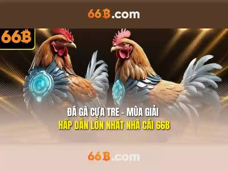 66B – Hướng Dẫn Đăng Ký