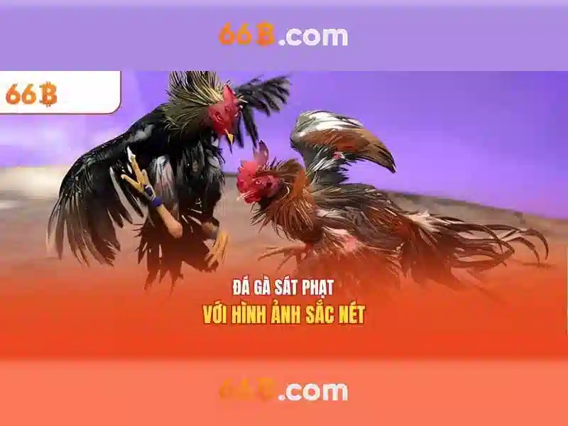 Trải nghiệm Slot 66B iOS