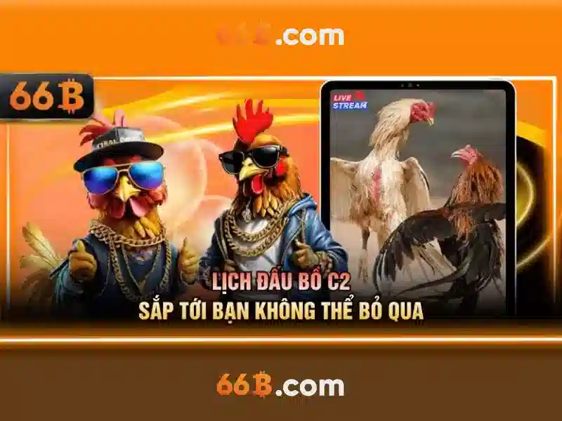 đăng xuất 66b