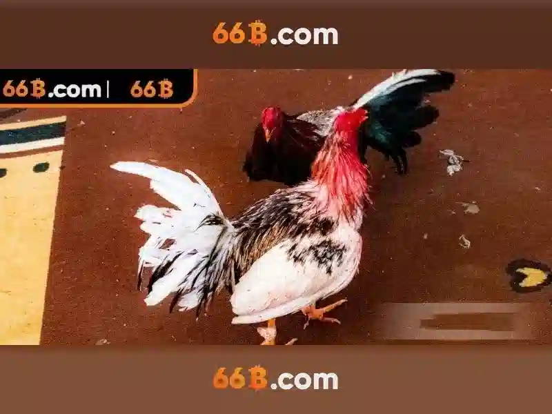 Từ Chối Trách Nhiệm 66B – Chính Sách Không Trách Nhiệm Của Người Dùng Trong Sảnh Slot 66B