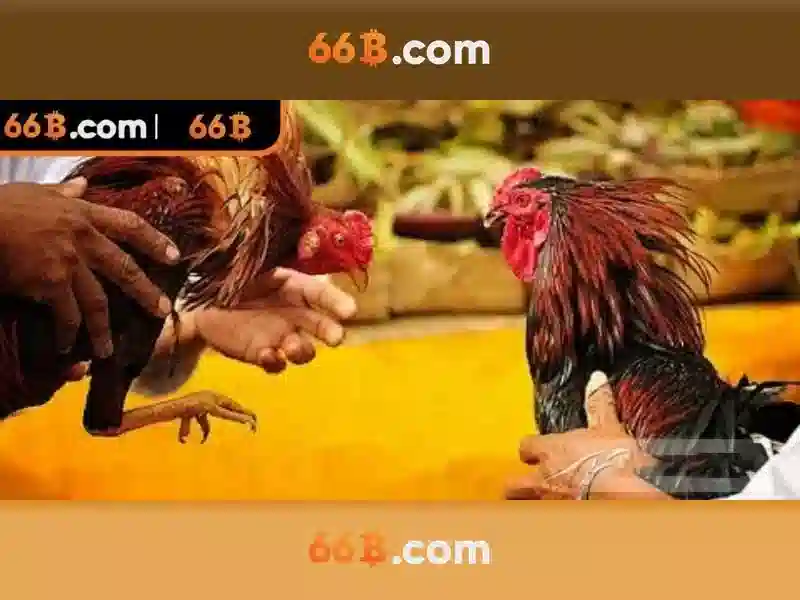 Lợi Ích Rút Tiền 66B