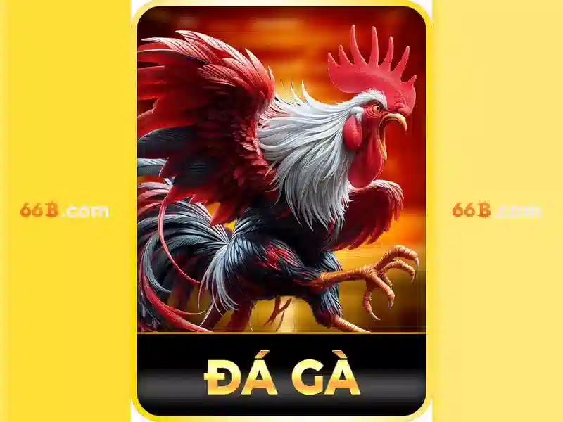 Ưu điểm xóc đĩa 66B