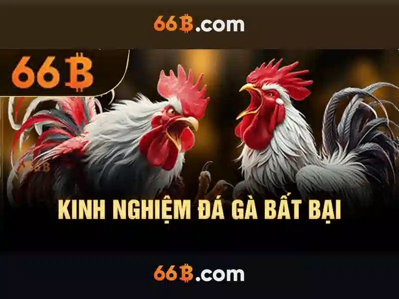 Lý Do Chọn 66B