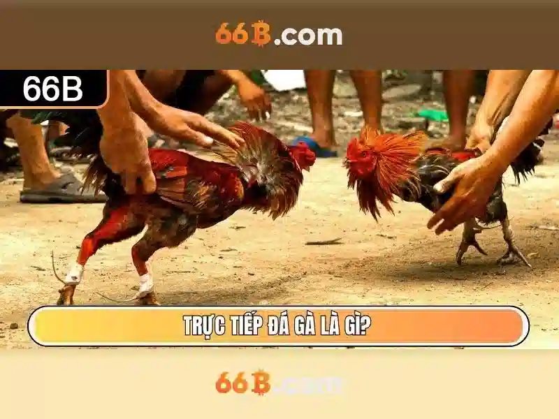Trải nghiệm Slot Đỉnh Cao Với 66B IOS