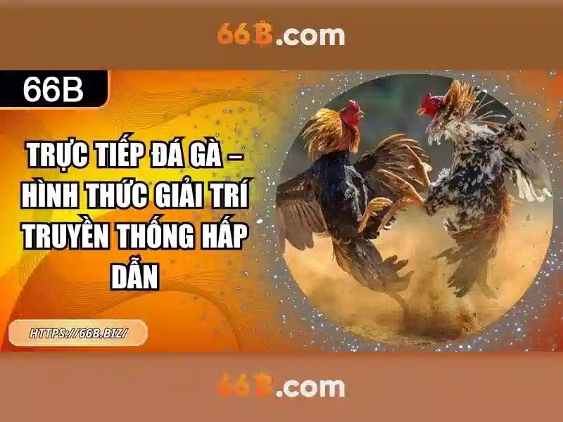 Nhà Cái 66B Uy Tín Cho Cá Cược Slot Trực Tuyến
