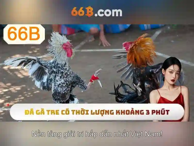 Trải Nghiệm Cờ Vua 66B