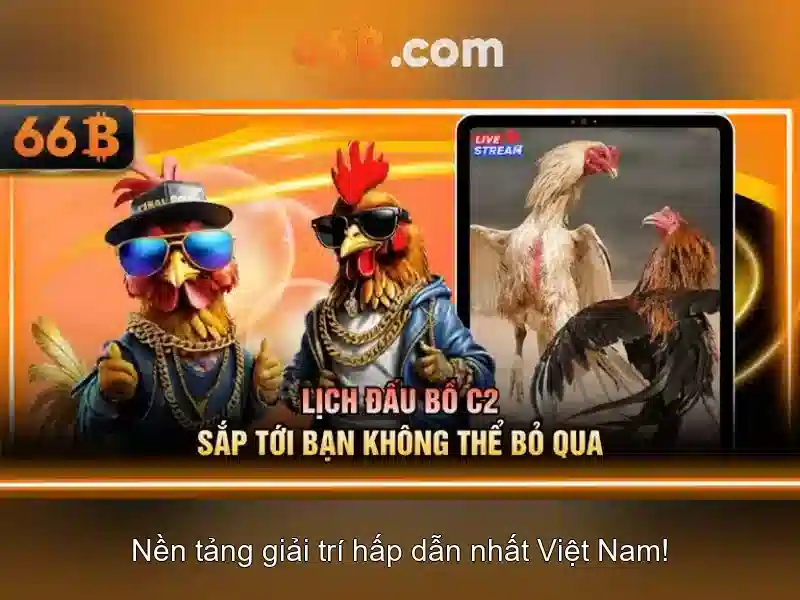 Chương Trình Khuyến Mãi 66B