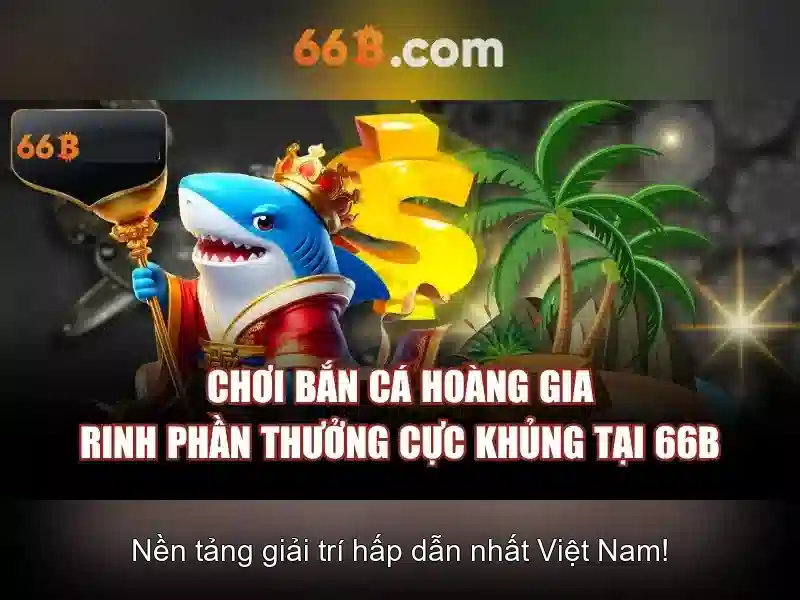Tại Sao Chọn 66B