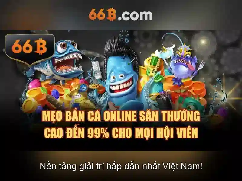 Giới Thiệu Về 66B
