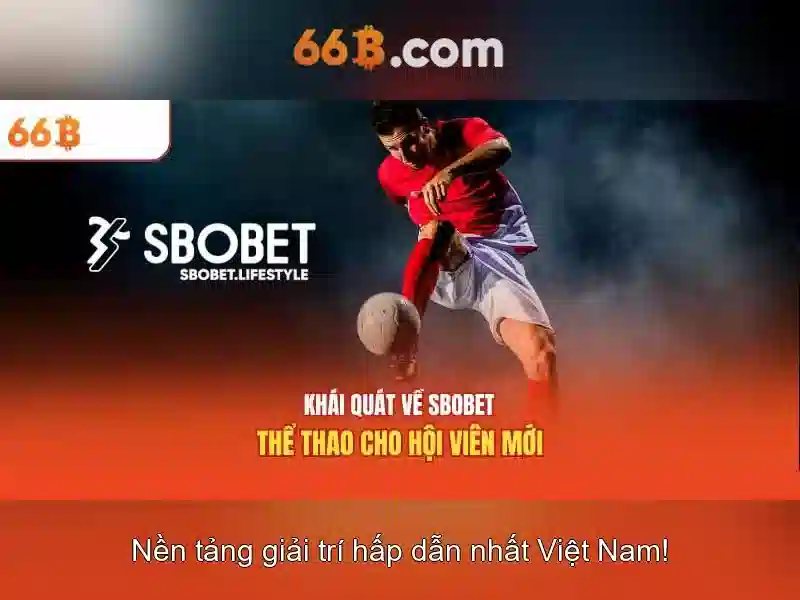 Chính Sách Không Trách Nhiệm 66B