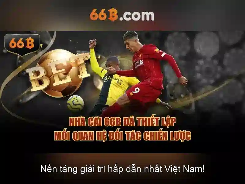 Hướng Dẫn Nhận Hoàn Tiền 66B