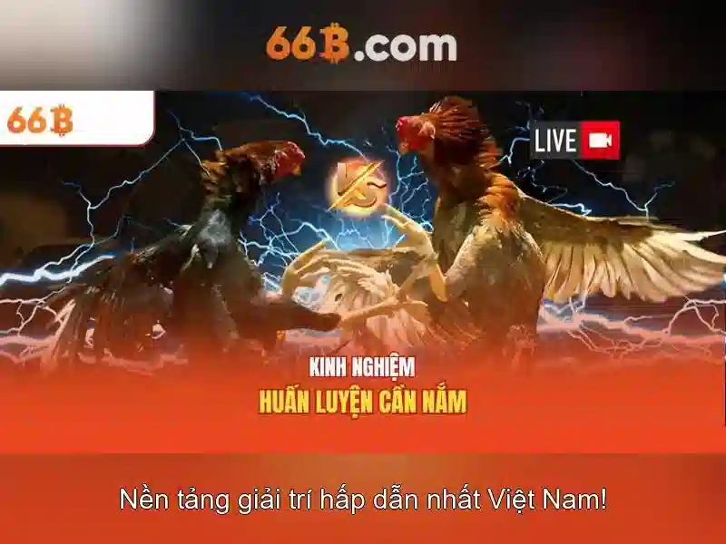 Khuyến Mãi Slot 66B