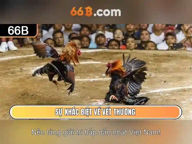 Cách Nhận 66b Giftcode