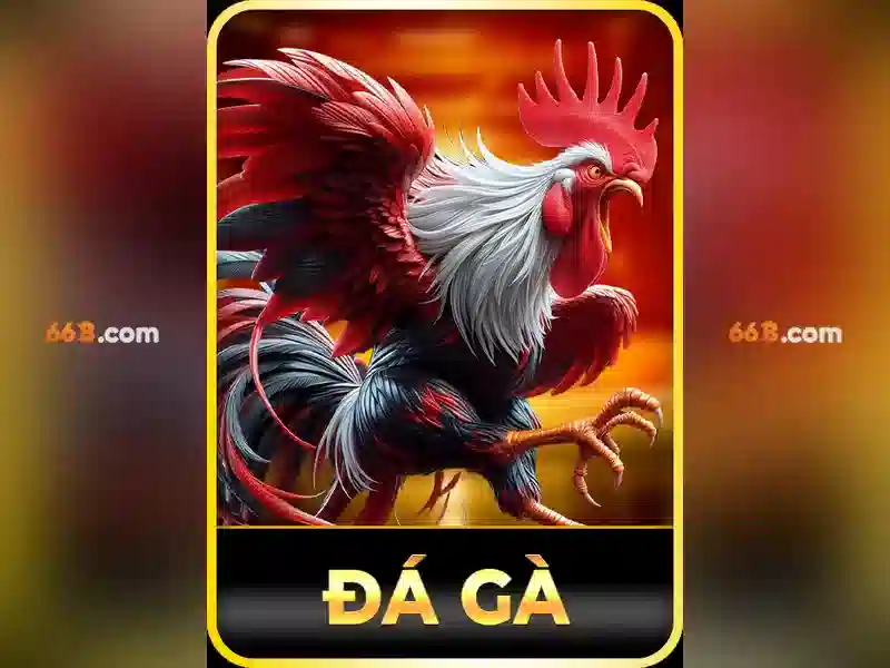 Ưu Đãi 66B App
