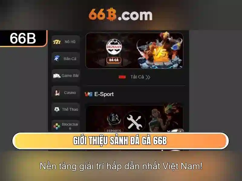 Quy Trình Rút Tiền 66B