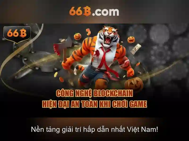 Lý do chọn 66B