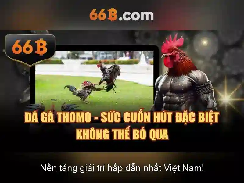 Chương Trình Ưu Đãi 66b Free Chip