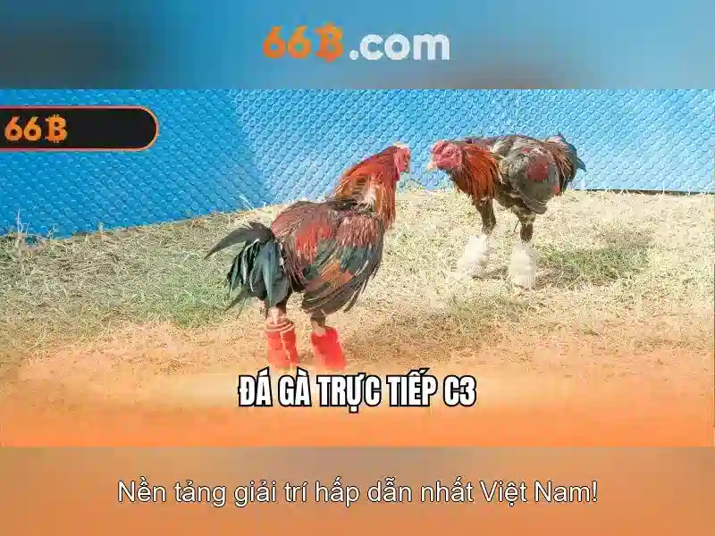 Lô đề 66b