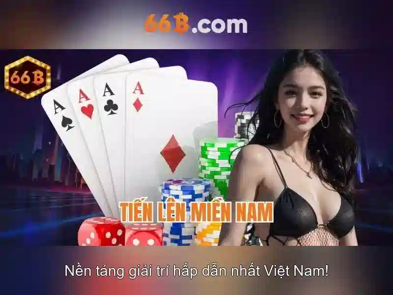 Giới Thiệu Về 66B