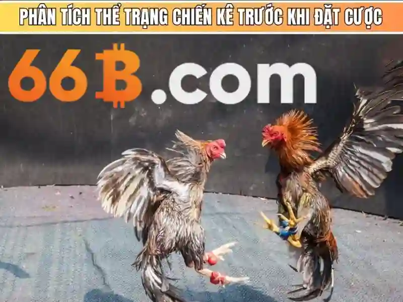 Giới thiệu dịch vụ Slot 66B