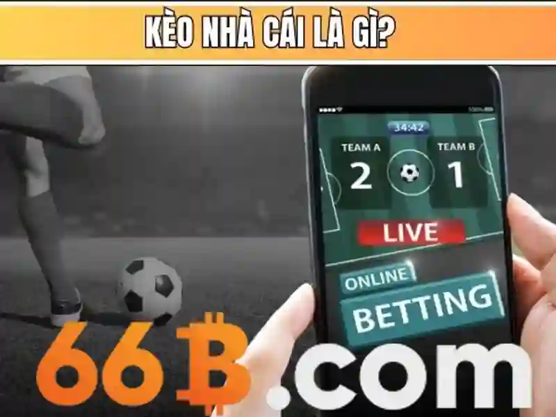 Khuyến Mãi 66B – Cơ Hội Nhận Tiền Thưởng Giá Trị Cực Khủng