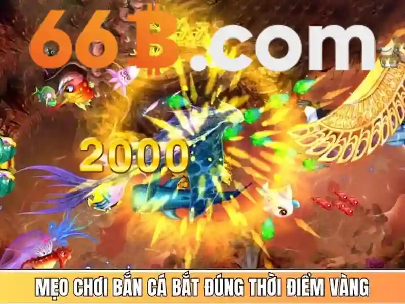 HƯỚNG DẪN SỬ DỤNG 66B