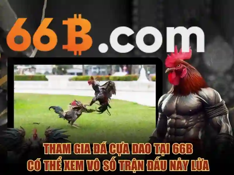 Cách Đăng Nhập 66B