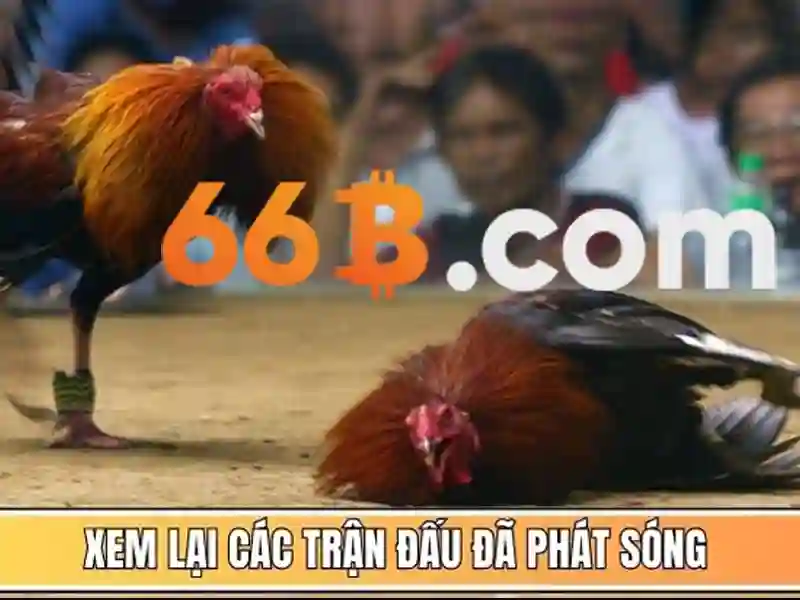 Trải Nghiệm Slot 66B
