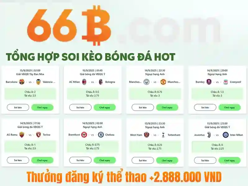 Cờ Vua 66B